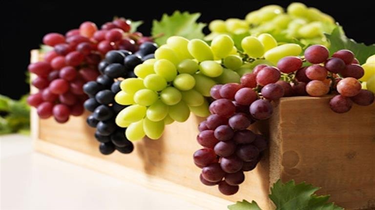 % معلومات وحقائق للمحافظة على سلامة العيون