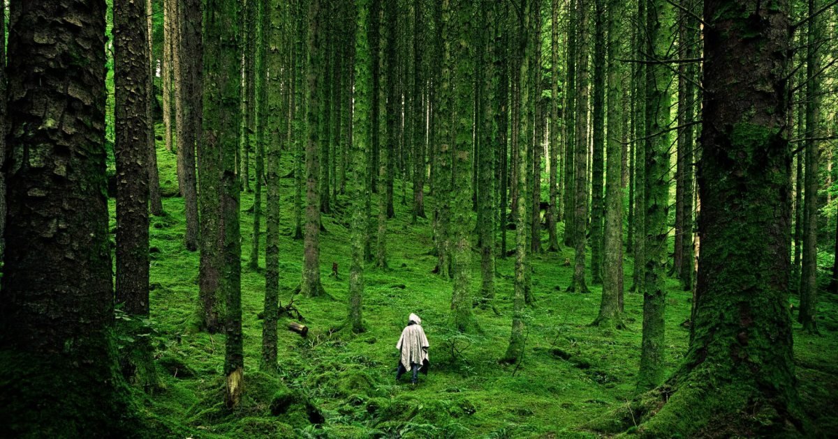 14 قواعد أساسية لتفكيك الأنظمة المعقدة وإدارتها بكفاءة "14 قواعد أساسية لتفكيك الأنظمة المعقدة وإدارتها بكفاءة"