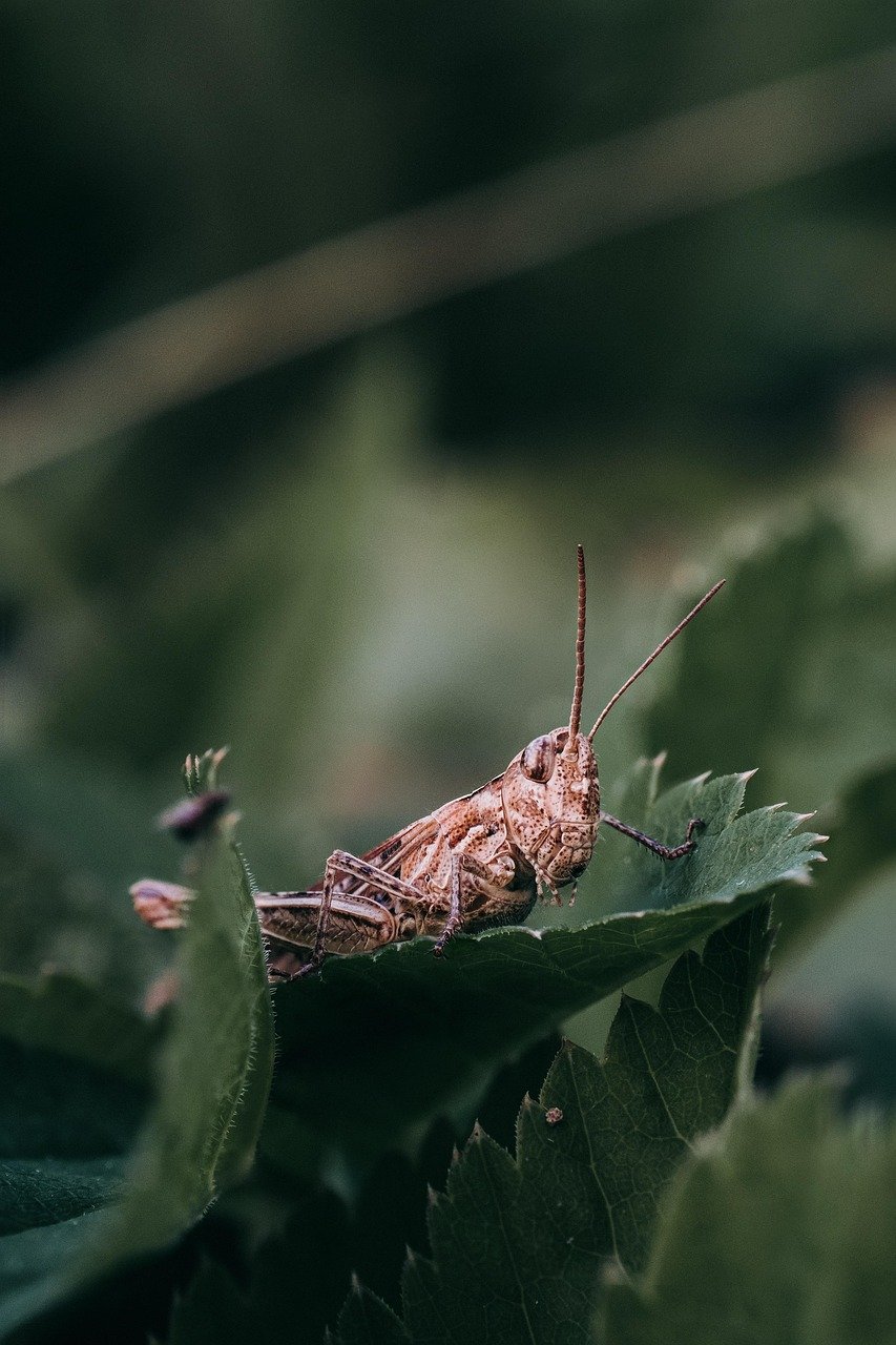 اختبارات الدم لتشخيص الزهايمر قد تكون مضللة لمرضى الكلى: أهمية التحليل الدقيق في الرعاية الصحية اختبارات الدم لتشخيص الزهايمر قد تكون مضللة لمرضى الكلى: أهمية التحليل الدقيق في الرعاية الصحية