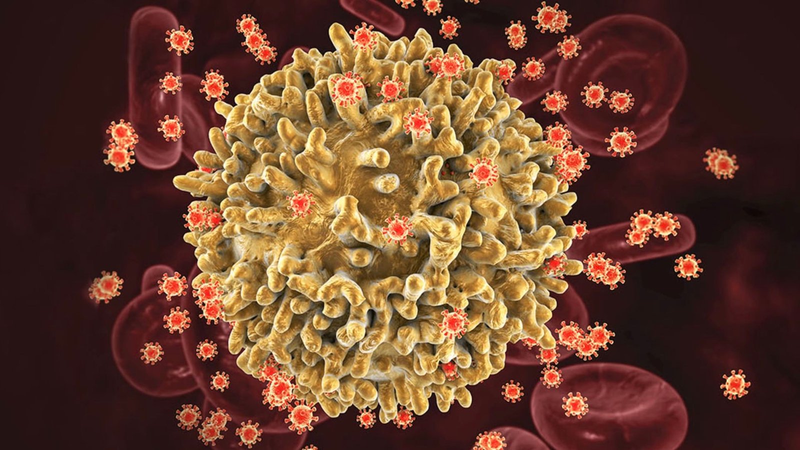 تجارب واعدة نحو “شفاء وظيفي” لفيروس HIV باستخدام الهندسة الوراثية "تحقيق 'علاج وظيفي' لفيروس HIV قد يكون وشيكًا، تشير التجارب الأولية"