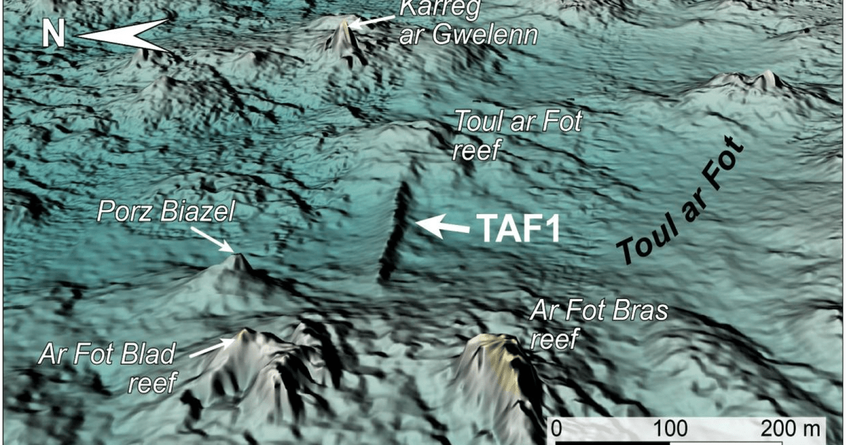 جدار بحري قديم عمره 7,000 عام يثير تساؤلات حول الهندسة القديمة وأساطير المدن المفقودة
