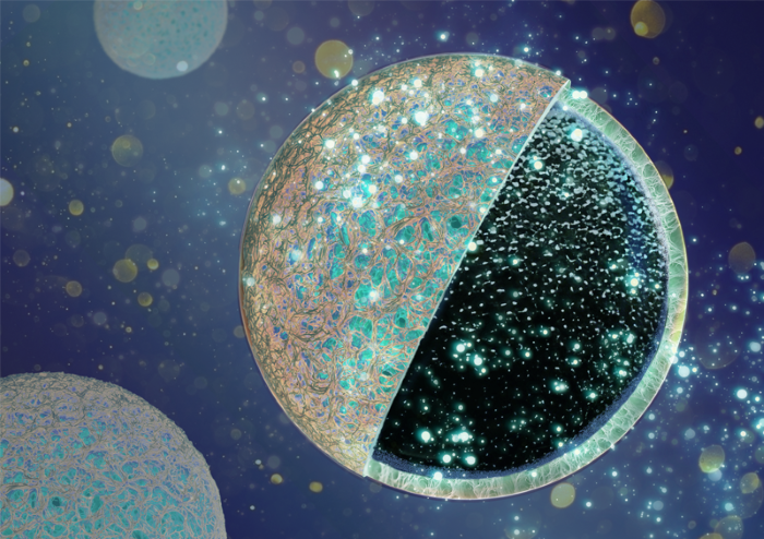 Sodium-Ion Batteries: تصميم Core
