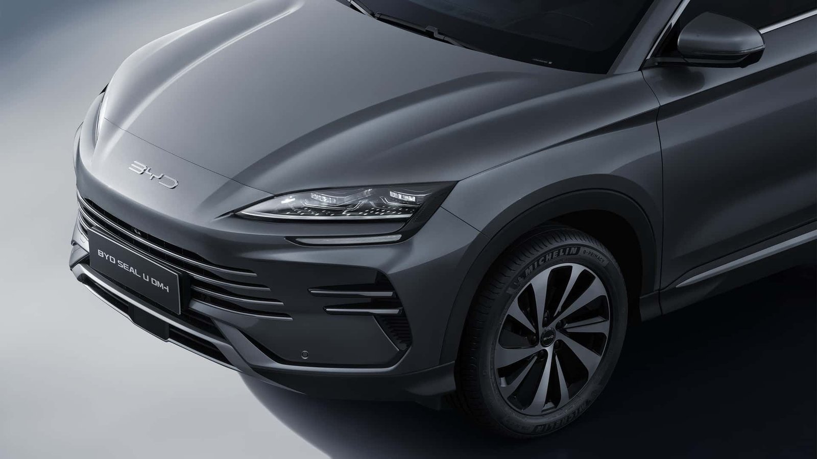 BYD تتصدر مبيعات سيارات Plug
