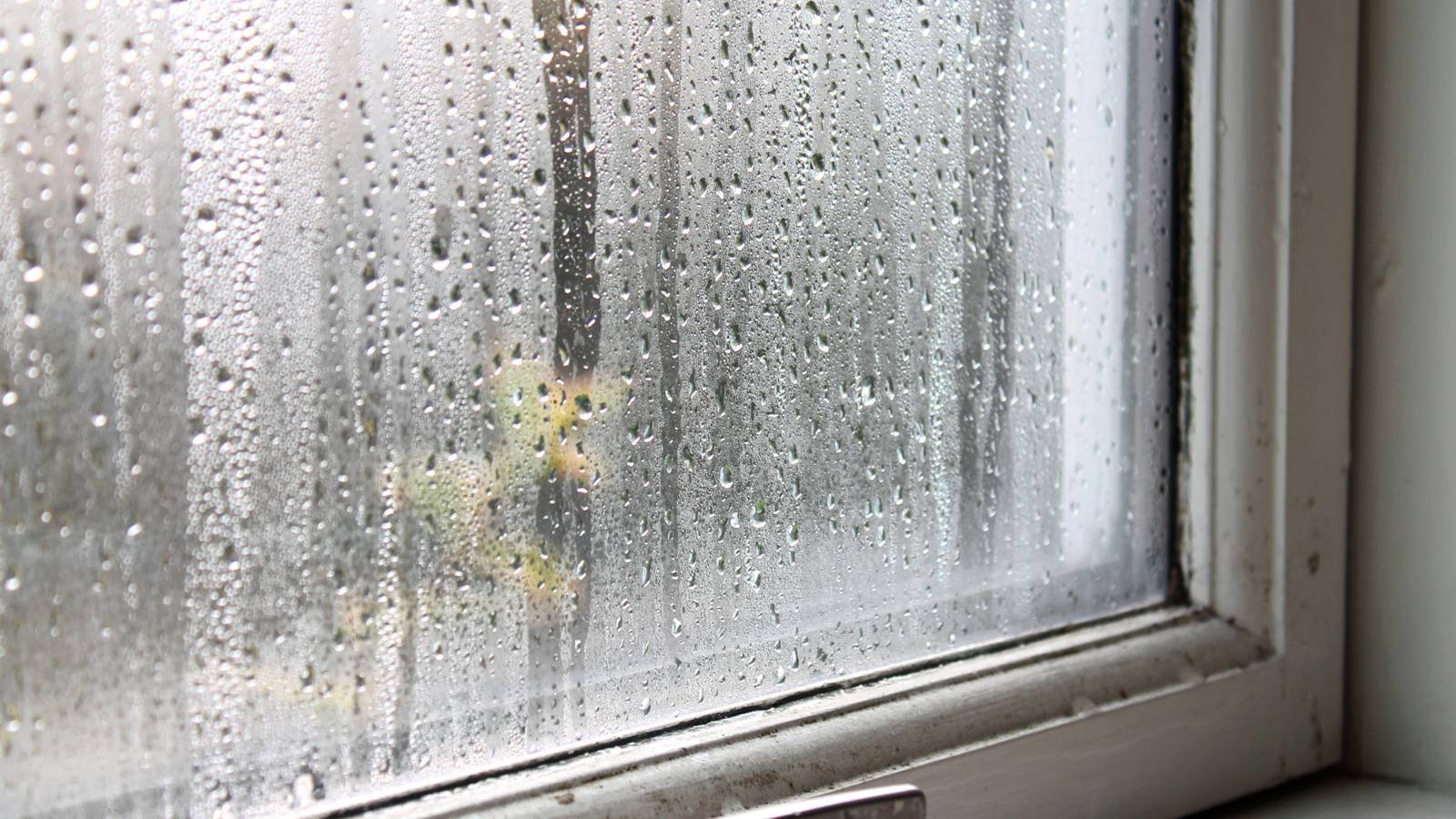 مساعد Home Assistant لتنبيه مبكر قبل ظهور العفن في المنزل عبر تقنيات Embedded Systems
