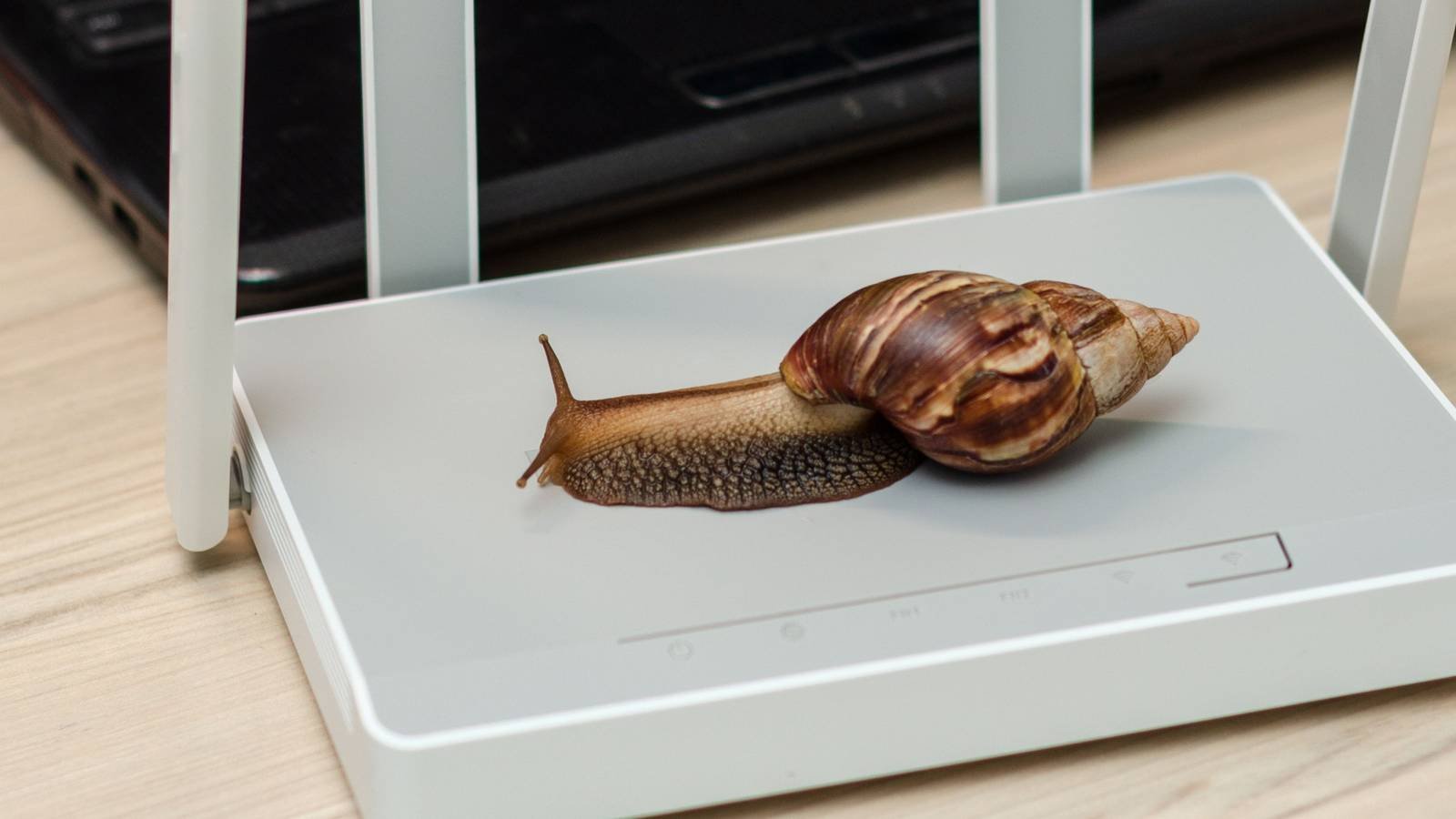 لماذا لم يعد إيثرنت جيجابت كافياً لتلبية احتياجات الشبكات المنزلية الحديثة؟ لماذا أصبح Gigabit Ethernet غير كافٍ لشبكات المنازل الحديثة من الناحية التقنية