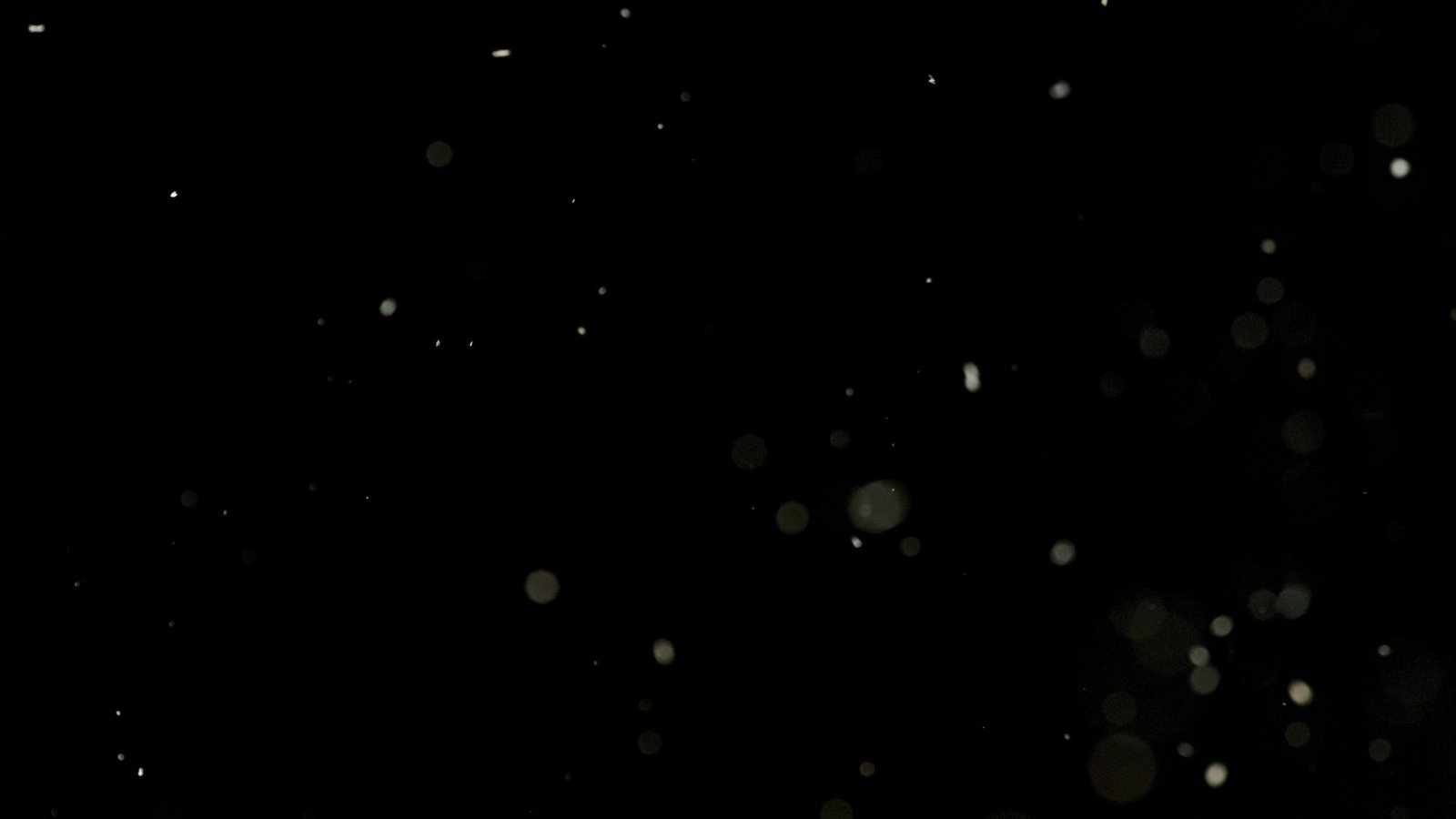 تحليل ديناميكا الموائع لجسيمات Microscopic المتزامنة في الأنظمة الميكانيكية
