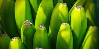 Imported Article – 2026-02-24 16:58:43