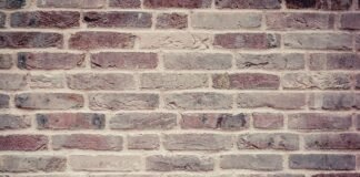 Imported Article – 2026-02-19 05:37:34 Imported Article – 2026-02-19 05:37:34