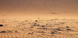 تصدع في الأرض تحت منطقة Pacific Northwest يثير اهتمام العالَم
