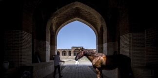 تجاوز الرموز المستوردة: Tao Ho وتطوير الحداثة المعمارية المحلية في Hong Kong
