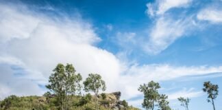 تصميم Wadden Sea World Heritage Center ودور Dorte Mandrup في الهندسة المعمارية والبيئية
