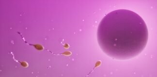 كيف يؤثر مرض السكري من النوع 2 بشكل خفي على الأوعية الدموية
