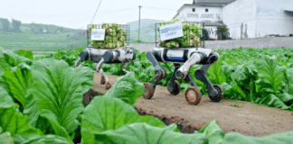 هل تُعد Robot Dogs خيارًا تقنيًا جديدًا لدعم المزارعين في أنظمة الأتمتة الكهربائية؟
