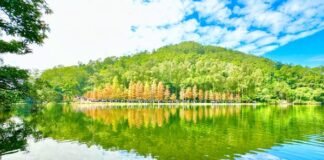 خزان Lau Shui Heung في هونغ كونغ وجهة طبيعية تثير الاهتمام العالمي خزان Lau Shui Heung في هونغ كونغ وجهة طبيعية تثير الاهتمام العالمي