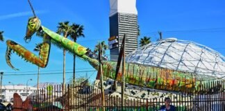 افتتاح Downtown Container Park في لاس فيغاس بولاية نيفادا كموقع ثقافي وترفيهي جديد
