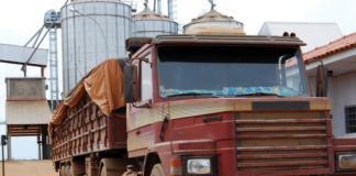 كيفية قياس Oil و Water في البذور باستخدام معيار ISO 10565 للأنظمة الميكانيكية
