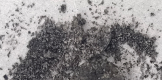 تحويل نفايات الفول السوداني إلى Graphene عالي الجودة لتطبيقات ميكانيكية متقدمة
