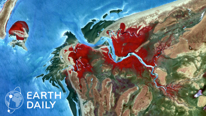 تألق تقنية ABB المتقدمة في الأنظمة الميكانيكية مع إصدار EarthDaily أول صور عالية الدقة
