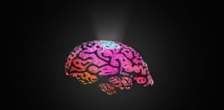 Bioinspired Polymer Coating لتعزيز إشارات Neural Electrode في التطبيقات الميكانيكية Bioinspired Polymer Coating لتعزيز إشارات Neural Electrode في التطبيقات الميكانيكية