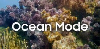 Imported Article – 2026-03-10 21:22:59