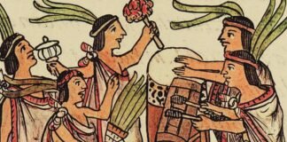 Imported Article – 2026-03-19 22:47:27