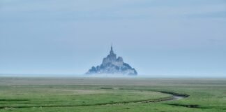 ارتباط الفواكه والخضروات الشعبية بارتفاع مستويات المبيدات الحشرية ارتباط الفواكه والخضروات الشعبية بارتفاع مستويات المبيدات الحشرية