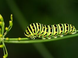 دراسة ضخمة في الولايات المتحدة تكشف ارتفاع معدلات الوفاة بالسرطان قرب محطات الطاقة النووية
