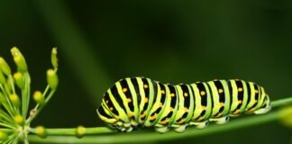 دراسة ضخمة في الولايات المتحدة تكشف ارتفاع معدلات الوفاة بالسرطان قرب محطات الطاقة النووية
