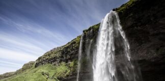 Monty Python يخطئ في تصوير الأمراض في العصور الوسطى
