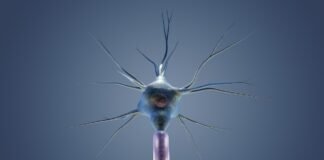 أدوية فقدان الوزن Ozempic
