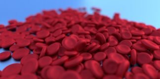 اكتشاف علماء قوة مخفية تساهم في Wiring الدماغ
