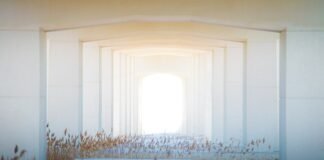 إعادة النظر في التصميم المعماري على مقياس الأنظمة الكوكبية (Planetary Systems)
