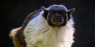 الأقمار الصناعية تكشف ضعف البنى التحتية للجسور في أمريكا والعالم الأقمار الصناعية تكشف ضعف البنى التحتية للجسور في أمريكا والعالم