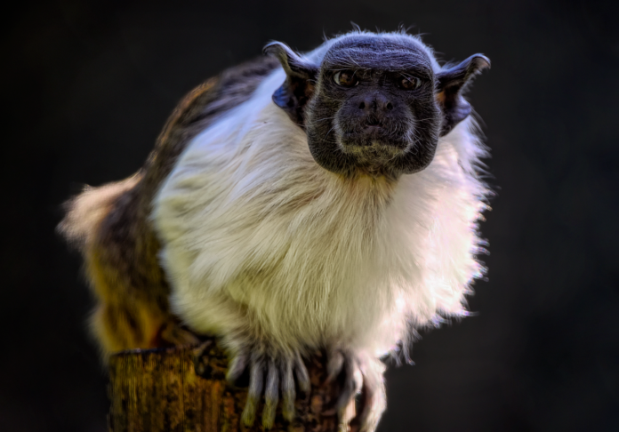 الأقمار الصناعية تكشف ضعف البنى التحتية للجسور في أمريكا والعالم
