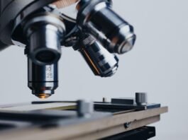 Imported Article – 2026-03-26 06:47:42