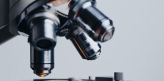 Imported Article – 2026-03-26 06:47:42 Imported Article – 2026-03-26 06:47:42