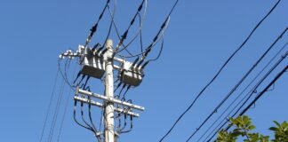 Imported Article – 2026-03-15 16:33:21