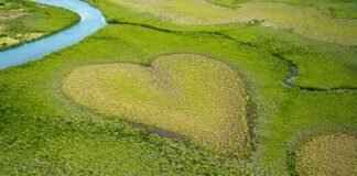 دراسة تكشف أن معظم الناس يخطئون في تقدير الأثر البيئي للأغذية
