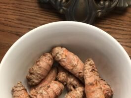 خريطة عمر الجسم الحقيقية: تحليل 7 ملايين خلية عبر 21 عضواً
