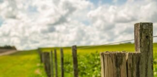 TS Conductor يباشر الحصول على أول شهادة Kinectrics للموصلات المركبة HTLS ذات النواة المركبة TS Conductor يباشر الحصول على أول شهادة Kinectrics للموصلات المركبة HTLS ذات النواة المركبة