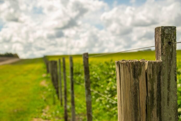 TS Conductor يباشر الحصول على أول شهادة Kinectrics للموصلات المركبة HTLS ذات النواة المركبة
