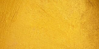 تحليل هندسي وتصميم معماري لمشروع Live Multispecies Kitchen بشراكة Fahrenheit Works وFrancisca Sottomayor تحليل هندسي وتصميم معماري لمشروع Live Multispecies Kitchen بشراكة Fahrenheit Works وFrancisca Sottomayor