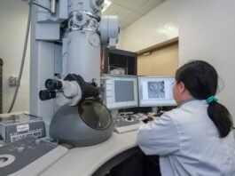 علماء يكشفون أسباب تأثر مركب مضاد للشيخوخة على نمو السرطان
