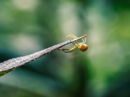 الخوف من التقدم في العمر قد يسرّع من عملية Aging في الجسم
