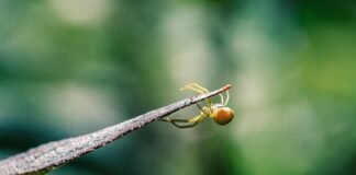 الخوف من التقدم في العمر قد يسرّع من عملية Aging في الجسم
