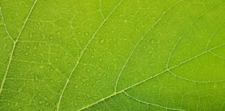 ملايين يعانون من joint pain وosteoarthritis يفوتهم أقوى خيارات العلاج
