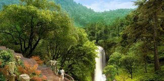 تحليل التصميم المعماري لمشروع Summerhill Village من TANDEM design studio
