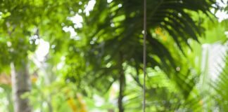 تأجيل موعد بدء المدارس يعزز نوم وأداء Teens بشكل أفضل
