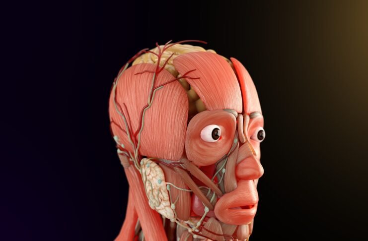 مكون خفي في أقراص Ozempic وWegovy يفتح تساؤلات جديدة حول صحة الجهاز الهضمي
