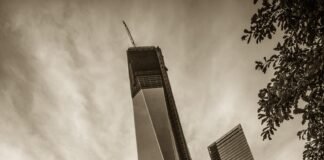 علماء يكتشفون قدرة الذكاء الاصطناعي على تعزيز الإبداع البشري علماء يكتشفون قدرة الذكاء الاصطناعي على تعزيز الإبداع البشري